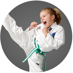  Martial Arts Edge Martial Arts Karate for Kids